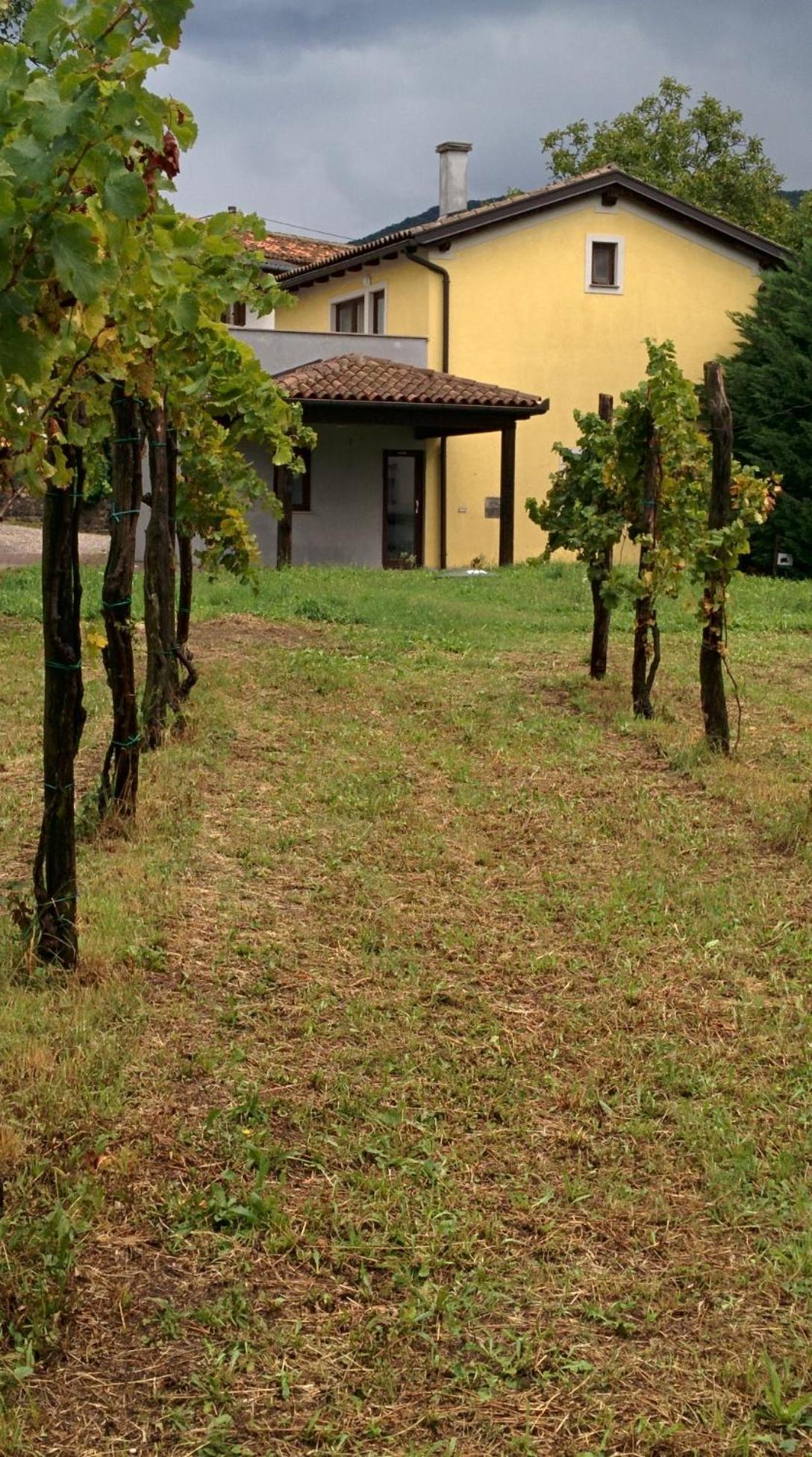 Small House In Vipava Valley Zewnętrze zdjęcie